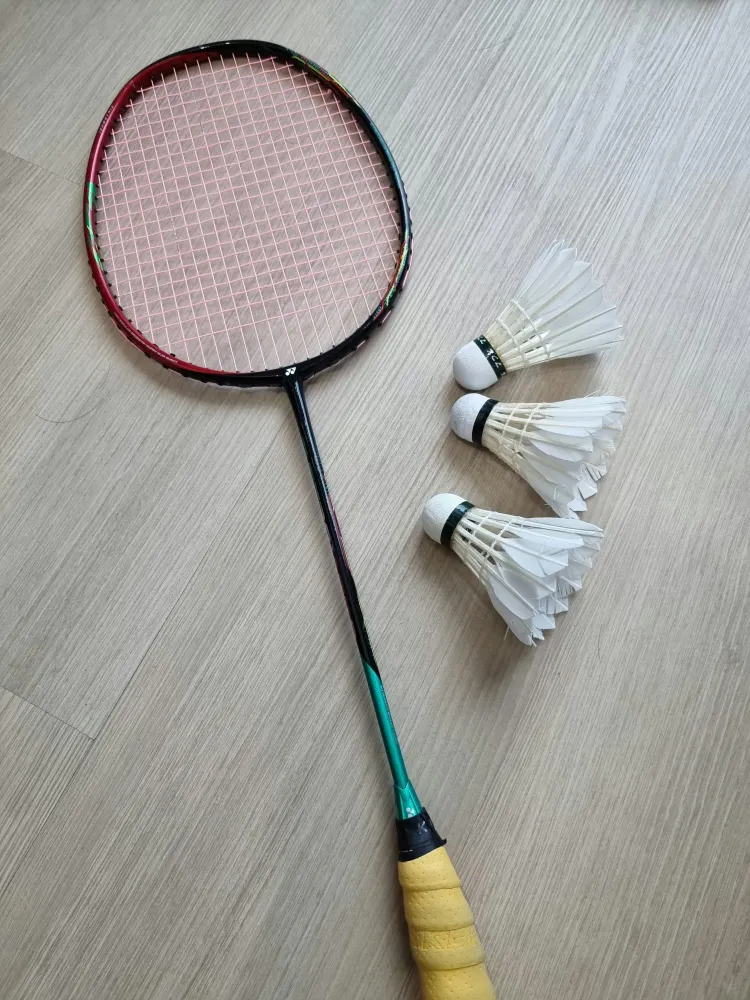 Badminton à La Chaussée-Saint-Victor